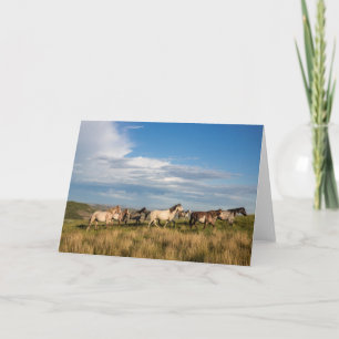 Carte Chevaux sauvages dans le parc national Theodore Ro