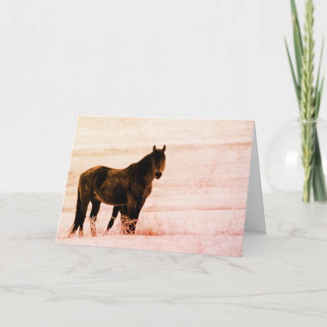 CARTE CHEVAUX SAUVAGES DE HERD D'UTAH ONAQUI (Devant)