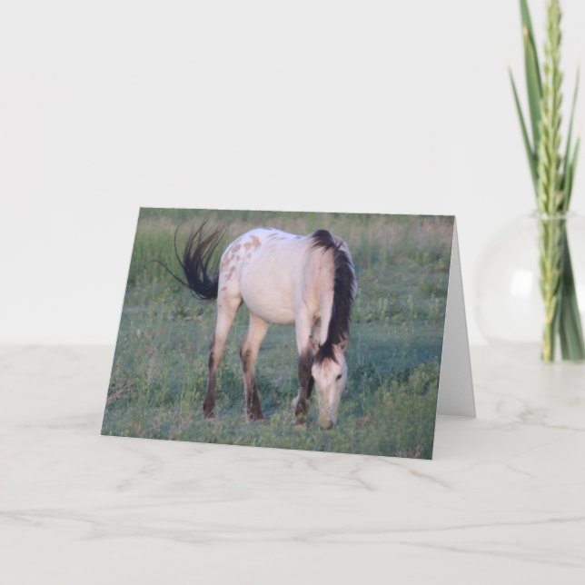 CARTE CHEVAUX SAUVAGES D'UTAH OURAY (Devant)