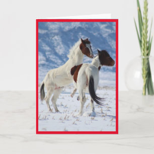 CARTE CHEVAUX SAUVAGES D'UTAH PINTO GREETING CARD