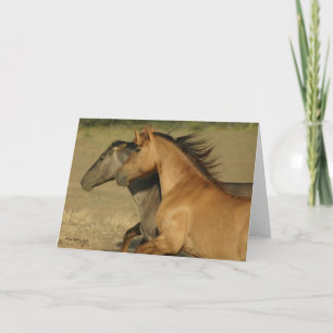 Carte Chevaux sauvages retournant à la liberté