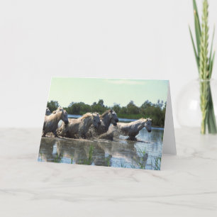 Carte Chevaux traversant l'eau