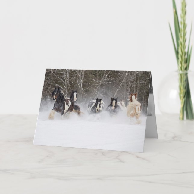 Carte Chevaux Tziganes Snowy Run Horse Grey Card (Devant)