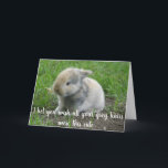 Carte Cheveux gris Lièvre drôle Âge Lapin Anniversaire<br><div class="desc">Cette conception a été créée par art numérique. Elle peut être personnalisée dans la zone fournir ou customiser en choisissant le clic pour customiser une autre option et en changeant le nom, les initiales ou les mots. Vous pouvez également modifier la couleur et le style du texte ou supprimer le...</div>