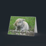 Carte Cheveux gris Lièvre drôle Âge Lapin Anniversaire<br><div class="desc">Cette conception a été créée par art numérique. Elle peut être personnalisée dans la zone fournir ou customiser en choisissant le clic pour customiser une autre option et en changeant le nom, les initiales ou les mots. Vous pouvez également modifier la couleur et le style du texte ou supprimer le...</div>