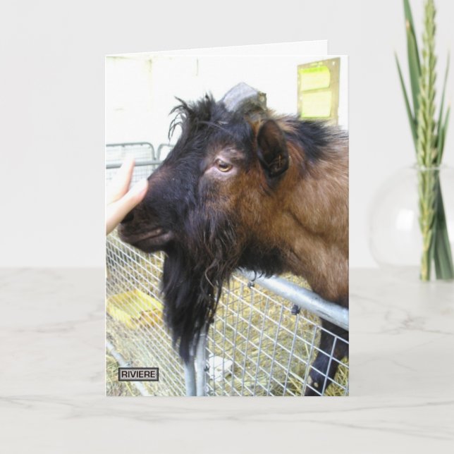 Carte Chèvre conviviale (Devant)