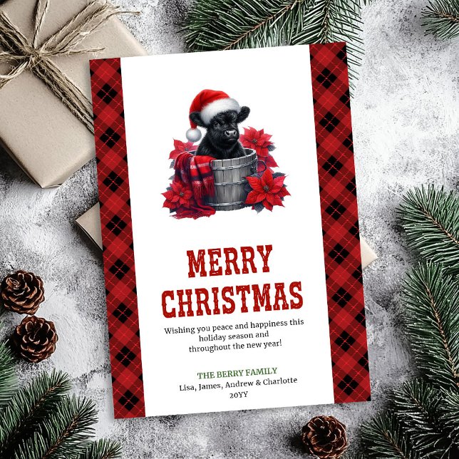 Carte chic de vache des Highlands avec branches de (Chic highland cow card pine branches and holly

)