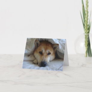 Carte chic mignon akita dans le lit photo de chien d'ori