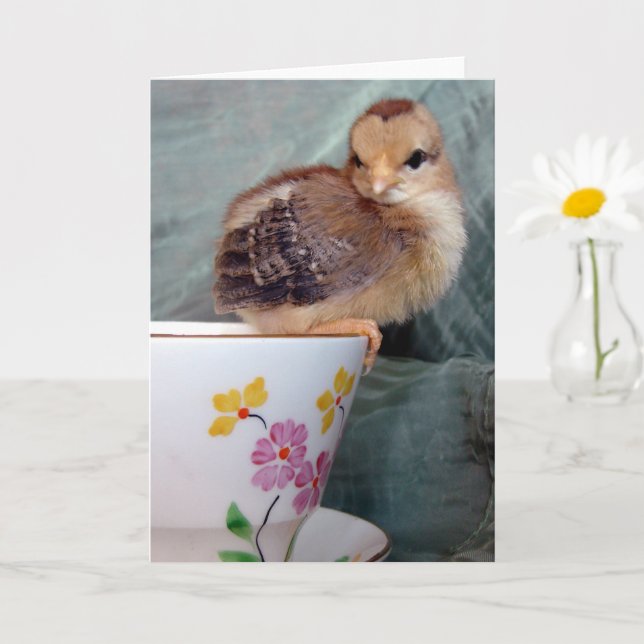 Carte Chick adorable sur un Teup par Angelandspot (Petite plante)