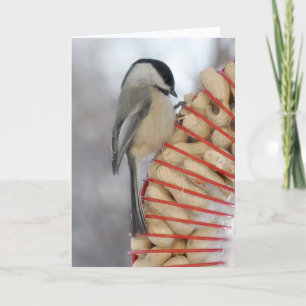 Carte Chickadee d'hiver