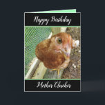 Carte Chicken Funny Happy Birthday<br><div class="desc">Funny chicken humour,  joyeux anniversaire Mother Clucker,  Don't get too fried,  birthday card.</div>