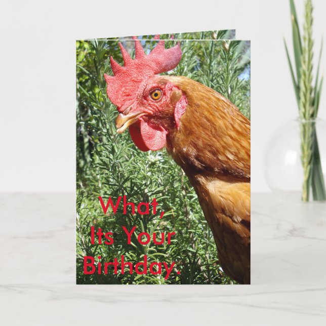 Carte Chicken Surprise, Ajoutez Votre Message, (Devant)