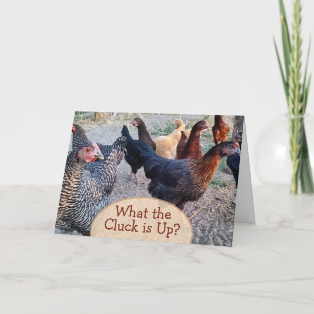 Carte Chickens What's Up Funny Humour Card (Devant)