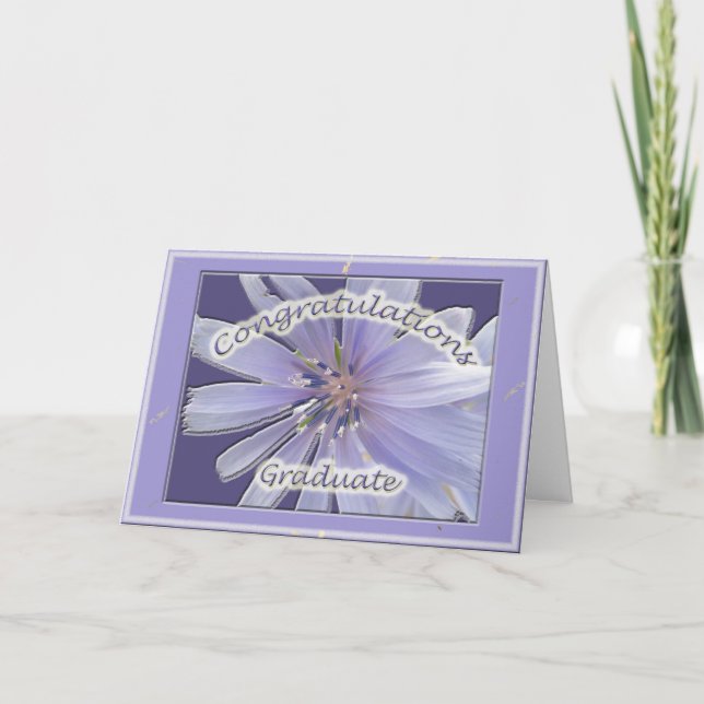 Carte Chickory Félicitations Graduate Card (Devant)