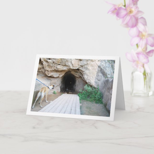 Carte Chien à la grotte (Orchidée)