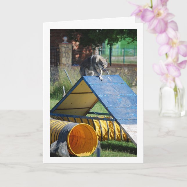 Carte Chien à l'école d'entraînement (Orchidée)