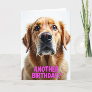 Carte Chien Âme Douce