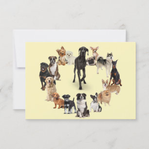 Carte Chien amusant race Animaux de compagnie chien