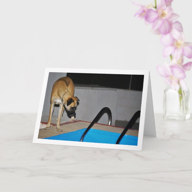 Carte Chien au bassin de natation (Orchidée)