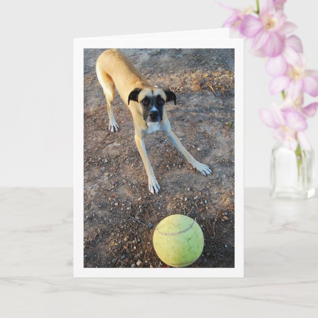 Carte Chien avec grande balle de tennis (Orchidée)
