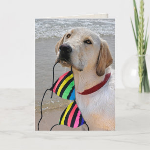 Carte chien avec top bikini pour anniversaire