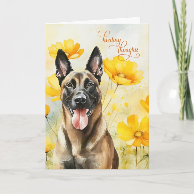 Carte Chien Belge Malinois Golden Poppies Se Bien (Devant)