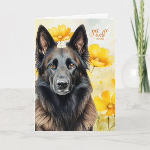Carte Chien Belge Tervuren Golden Poppies Se Bien
