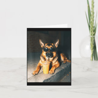 Carte Chien berger allemand buvant un café glacé Art pou