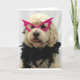 Carte chien blanc, costume, drôle, humour, lunettes sur