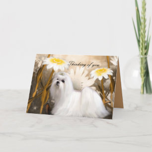 Carte Chien Blanc Fleurs "En pensant à vous"
