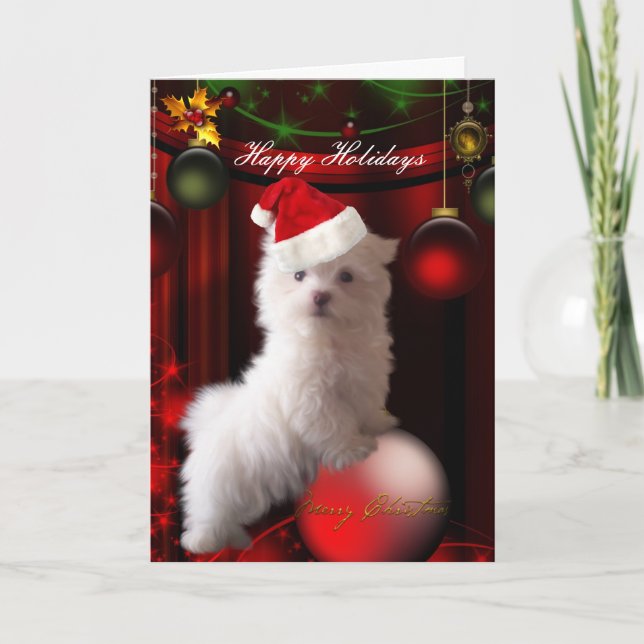 Carte Chien Blanc Fleurs "Joyeuses Fêtes" (Devant)