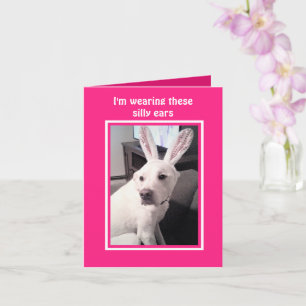Carte Chien blanc mignon portant des oreilles de lapin d