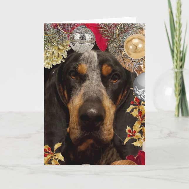 Carte Chien Bluetick Coonhound/ Photo de Noël d'animal d (Devant)