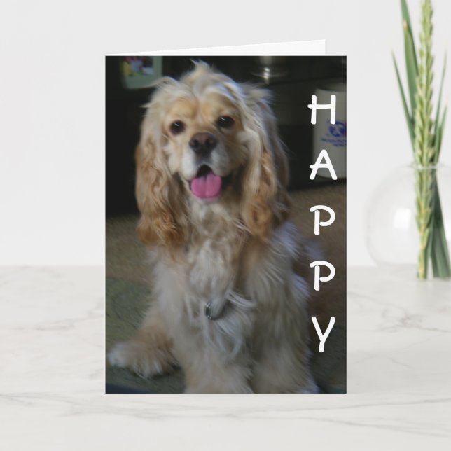 Carte "CHIEN BON ANNIVERSAIRE" dit le COCKER SPANIEL (Devant)