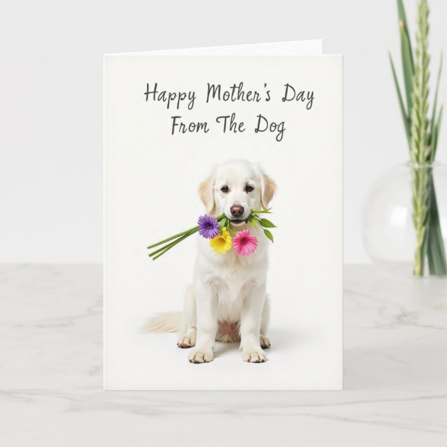 Carte Chien Bouquet Blanc (Devant)