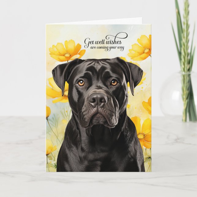 Carte Chien Cane Corso Coquelicots Dorés Prompt rétablis (Devant)