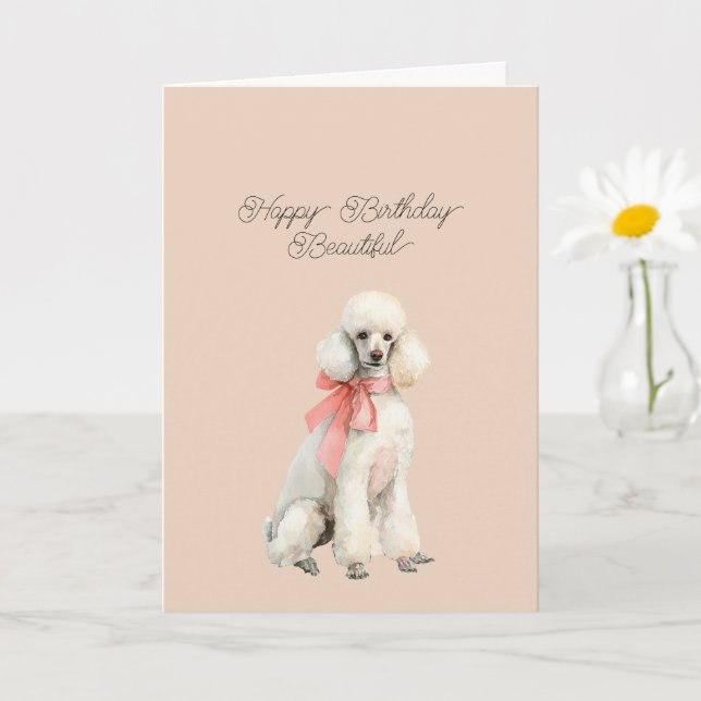 Carte Chien Caniche Blanc Bonjour Belle Anniversaire (Petite plante)