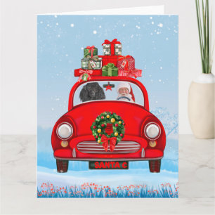 Carte Chien Caniche Dans Une Voiture Avec Le Père Noël