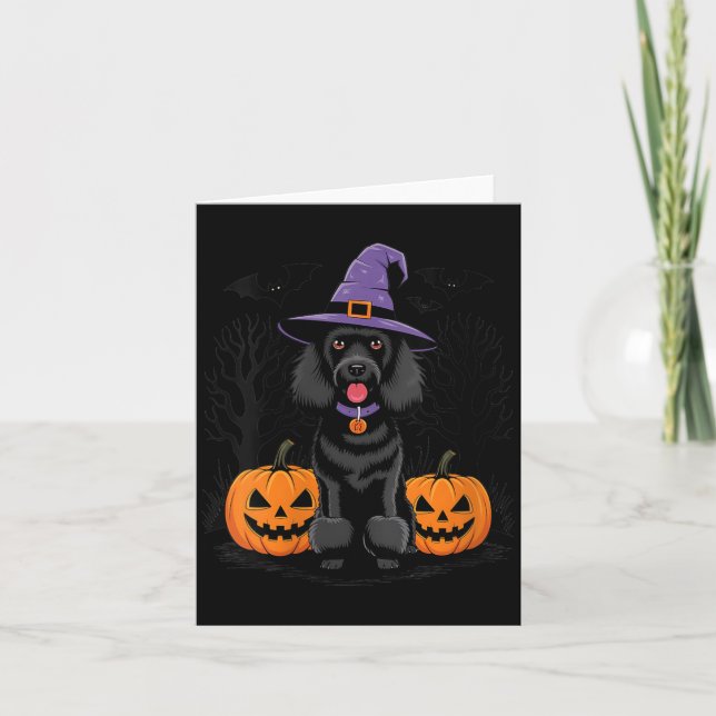 Carte Chien Caniche Standard Noir Sorcière d'Halloween p (Devant)