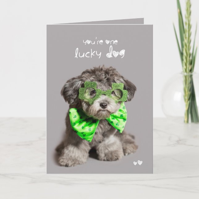 Carte Chien chanceux de Jour de la Saint Patrick (Devant)