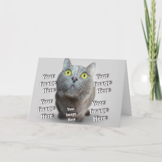 Carte Chien Chat Oiseau Fab Extraordinaire Photo (Devant)