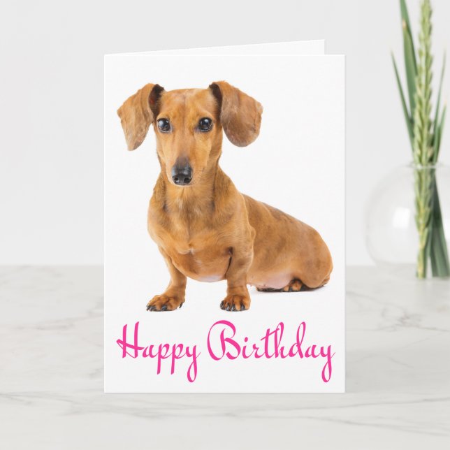 Carte Chien Chien Chien Chien Puppy Anniversaire R (Devant)