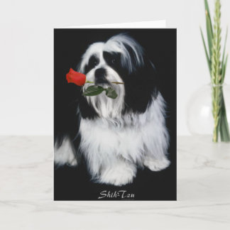 Carte Chien Chih Tzu