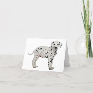 Carte Chien Chiot Dalmatien Bonjour Merci Amour, Désolé