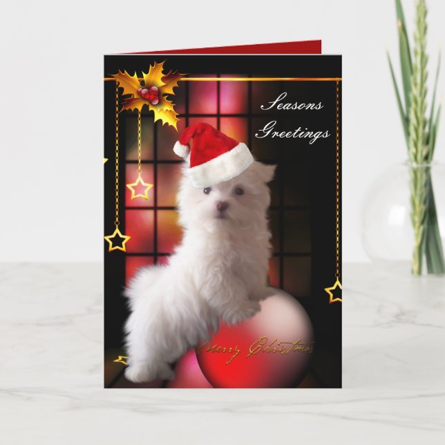 Carte Chien chiot maltais blanc de Noël (Devant)