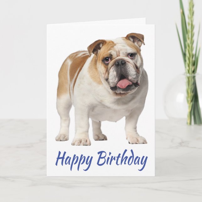 Carte Chien chiot mignon anglais Bulldog Anniversaire (Devant)
