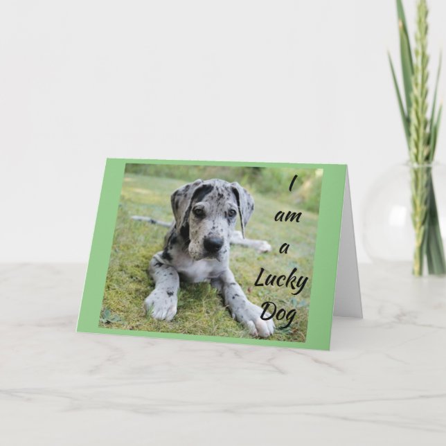 CARTE **CHIEN CHOSE CHALEUREUX CHANCE MOI** VOUS DANS MA (Devant)