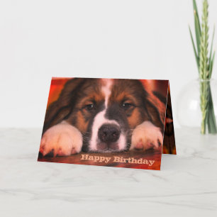 Carte Chien coquelicot élégant