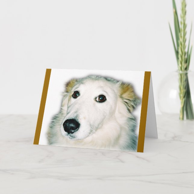 Carte chien coupable (Devant)