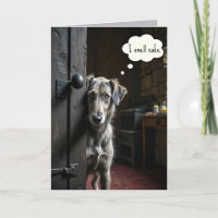Chien d'Anniversaire à la porte